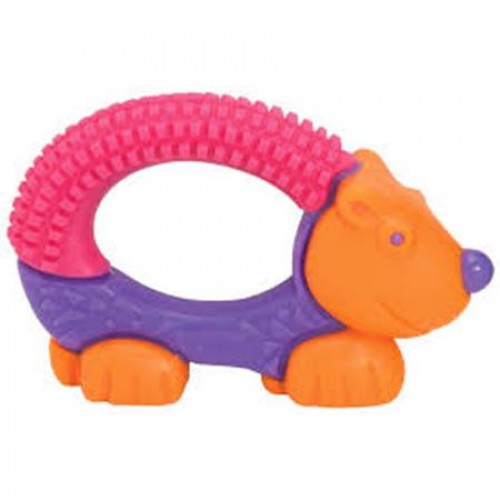 THE FIRST YEARS Bristle Buddy Teether